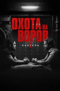 Охота на воров 2: Пантера 